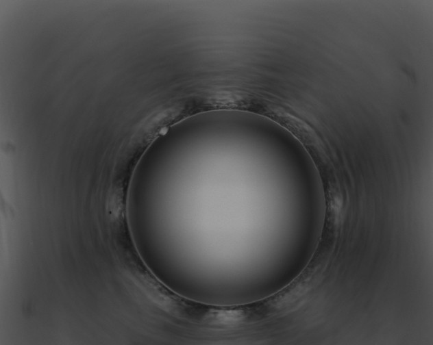 X0000091000665200708021602