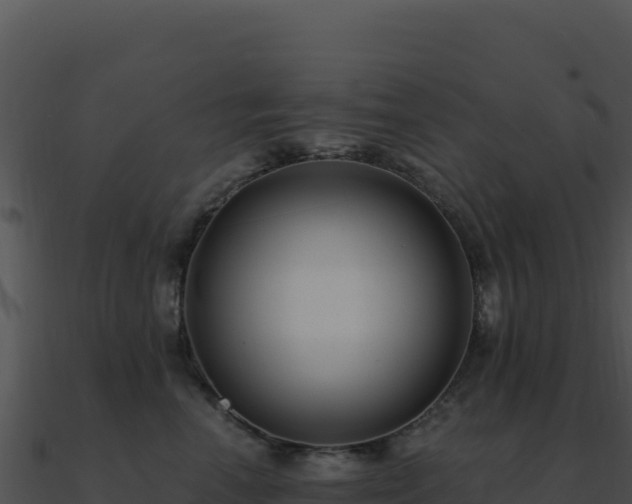 X0000091000666200708021602