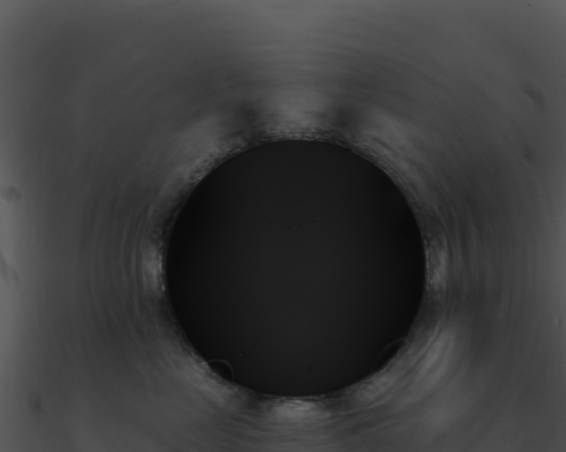 X0000091000669200708021602