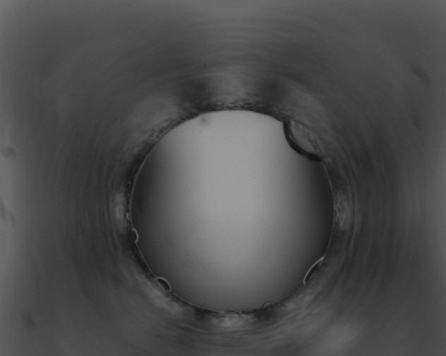 X0000091000670200708021602