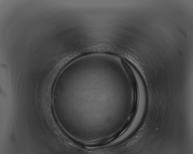 X0000091000673200708021601
