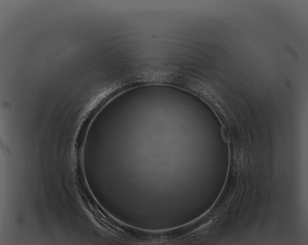 X0000091000674200708021601