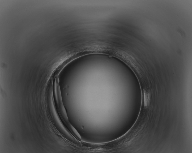 X0000091000675200708021601