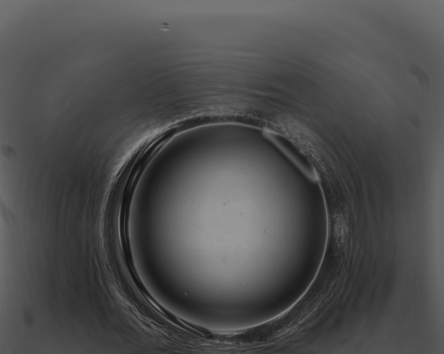 X0000091000676200708021601