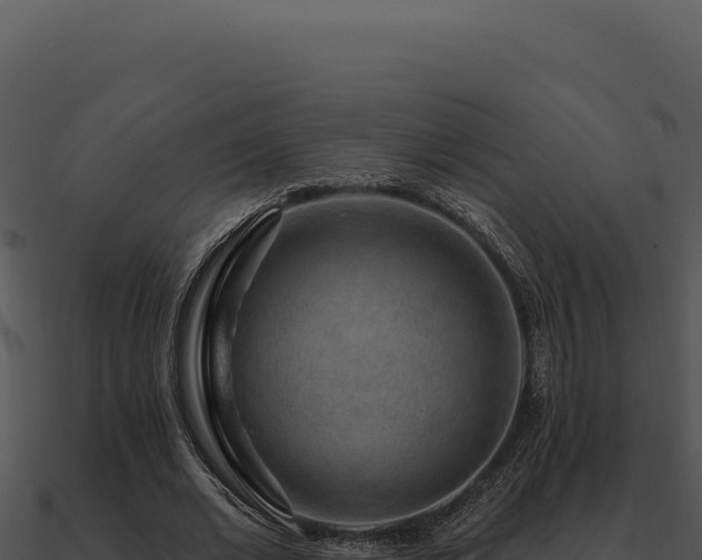 X0000091000677200708021601