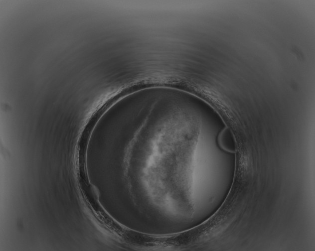 X0000091000678200708021601