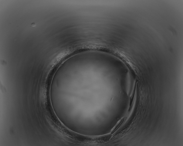 X0000091000679200708021601