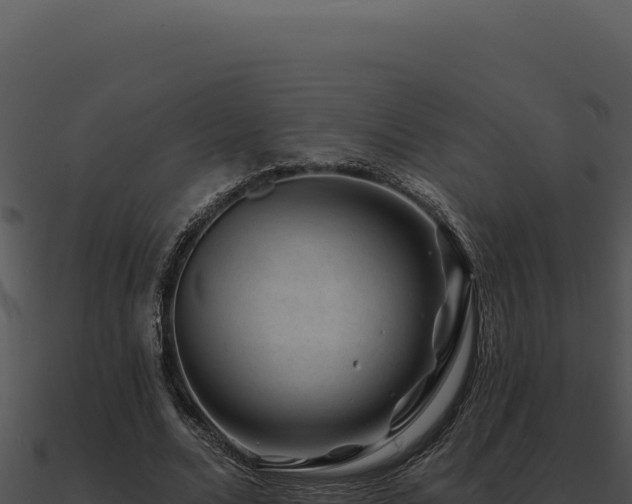 X0000091000680200708021601