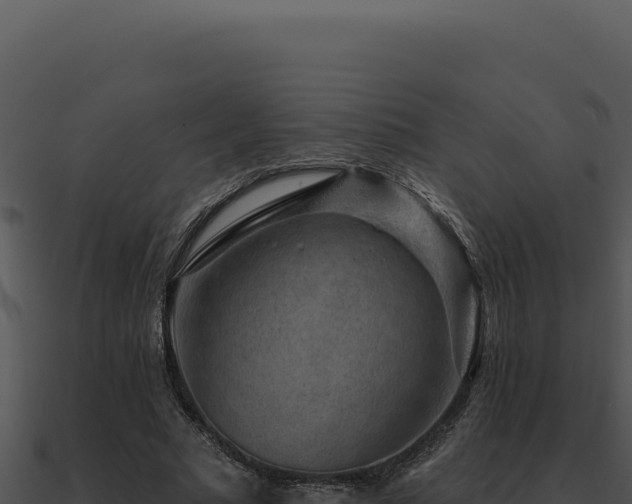 X0000091000681200708021601