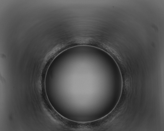 X0000091000682200708021601