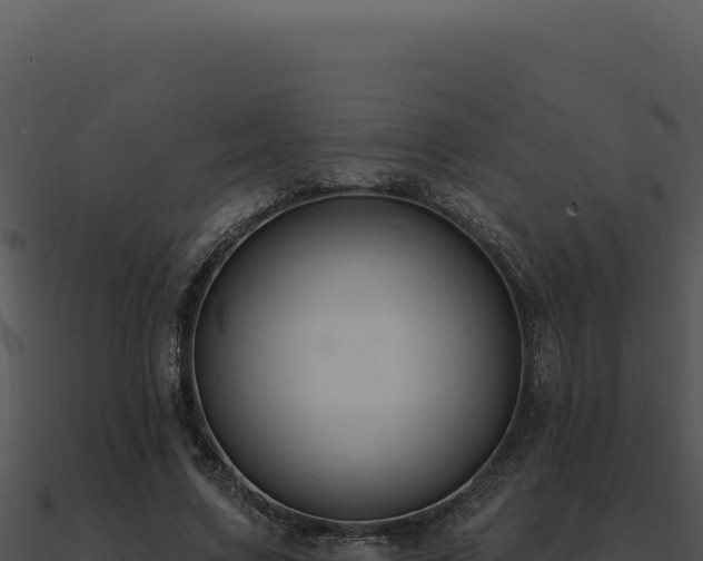 X0000091000683200708021601