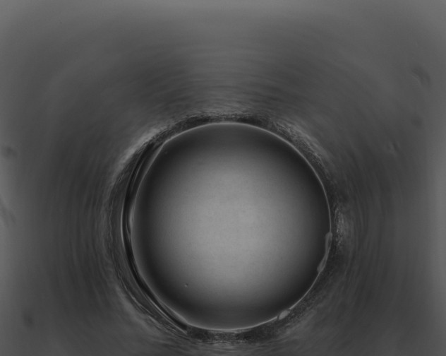 X0000091000684200708021601