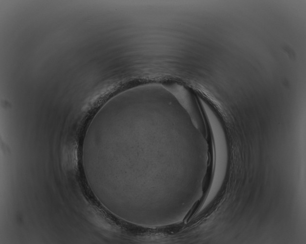 X0000091000685200708021601