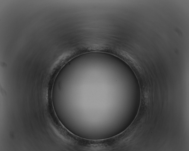 X0000091000686200708021601
