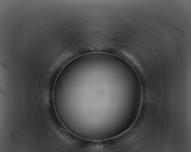 X0000091000687200708021601