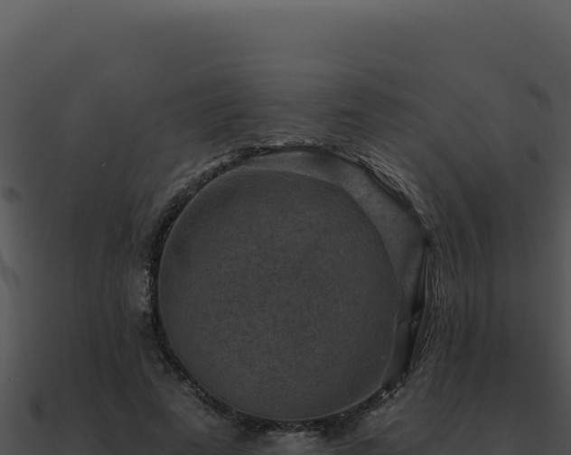 X0000091000689200708021601