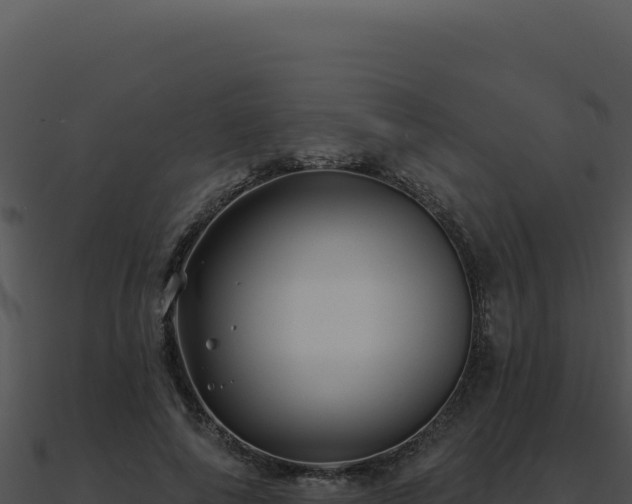 X0000091000690200708021601