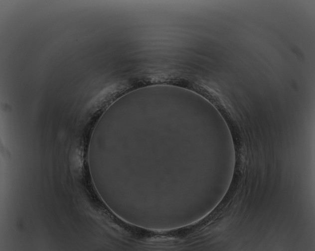 X0000091000691200708021601