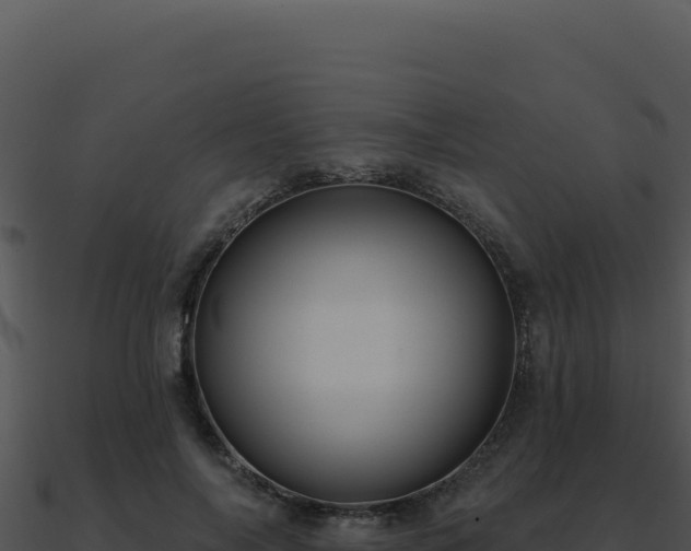X0000091000694200708021601