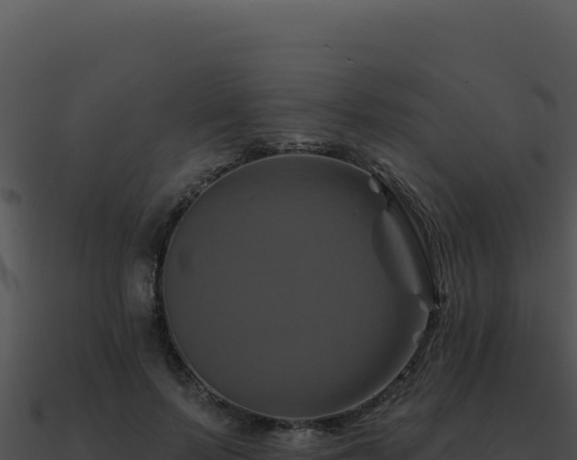 X0000091000695200708021601