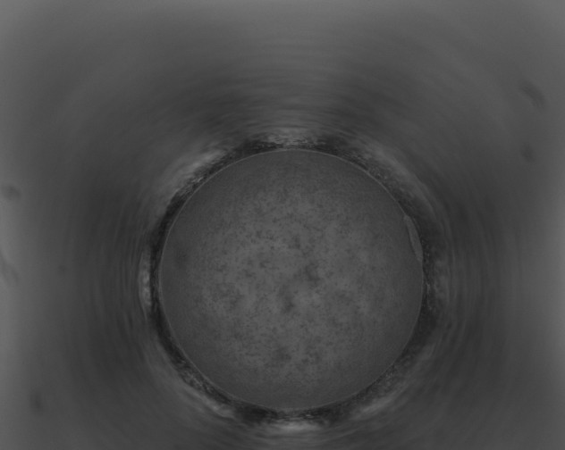 X0000091000696200708021601