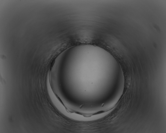 X0000091000697200708021601