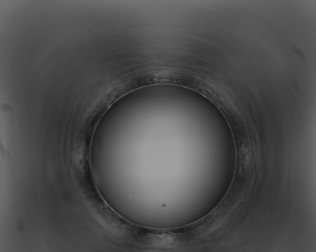 X0000091000698200708021601