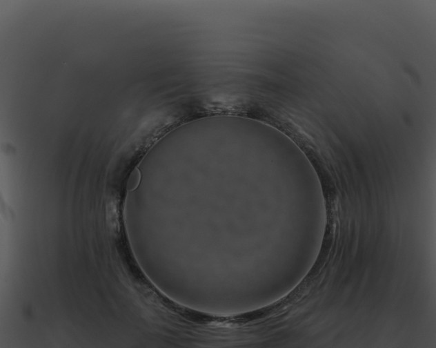 X0000091000699200708021601
