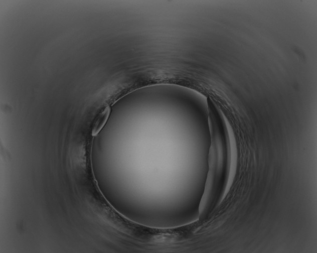 X0000091000700200708021601