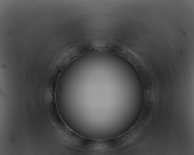 X0000091000702200708021601