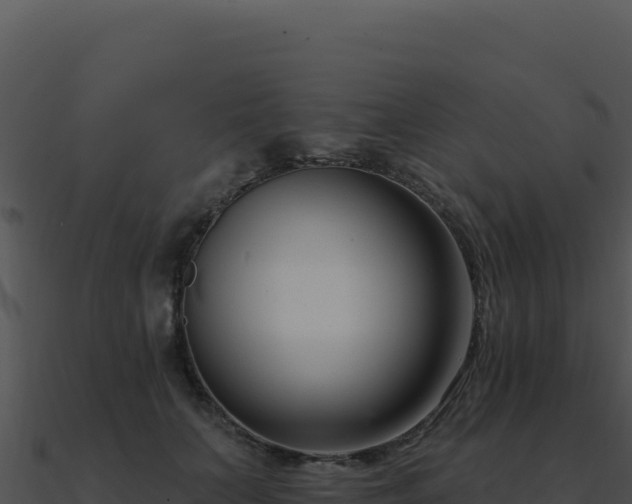X0000091000703200708021601