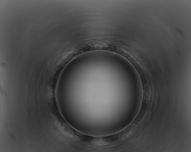 X0000091000704200708021601