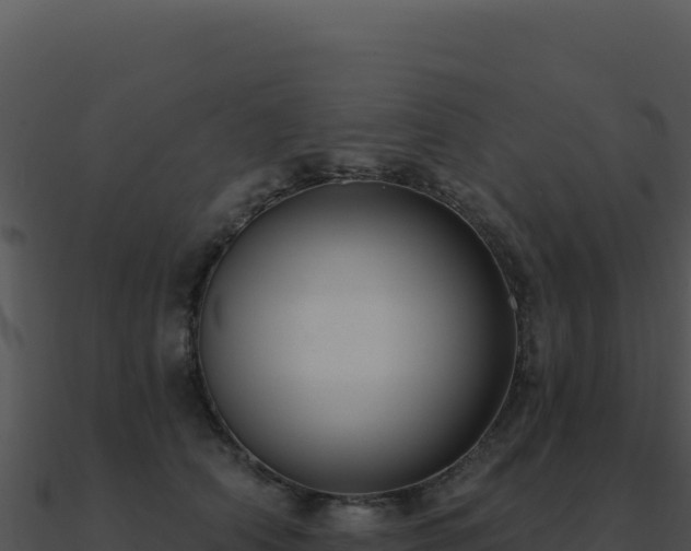 X0000091000706200708021601