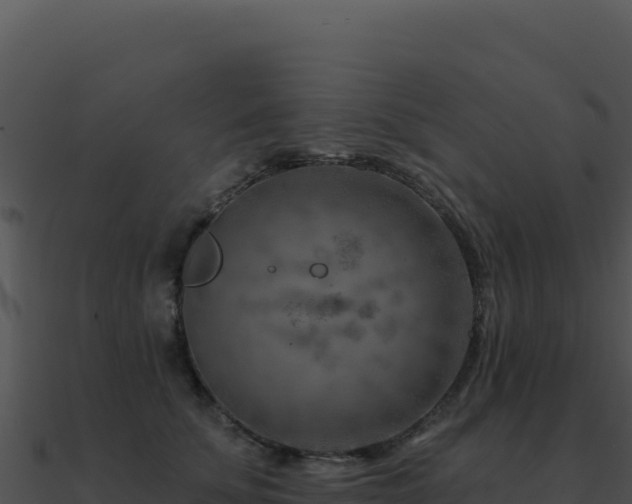 X0000091000707200708021601