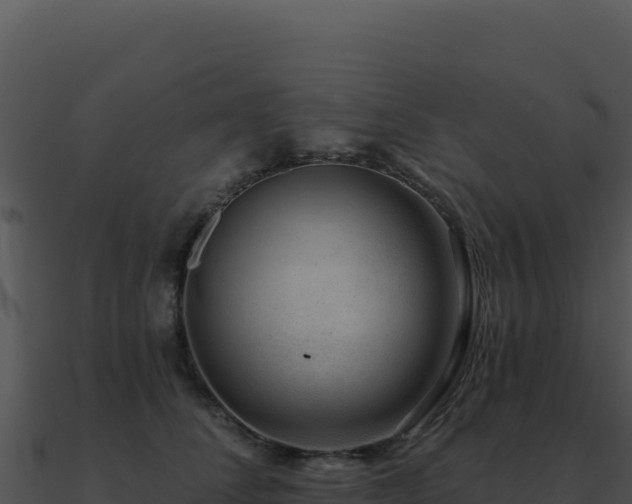 X0000091000708200708021601