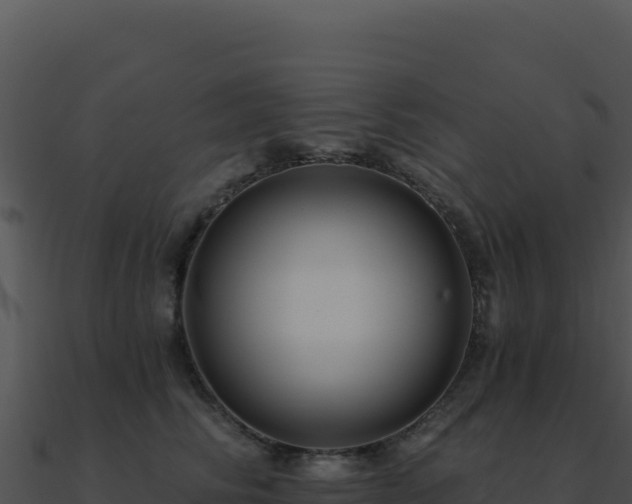 X0000091000710200708021600