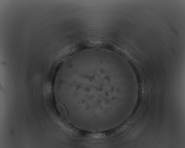 X0000091000711200708021600