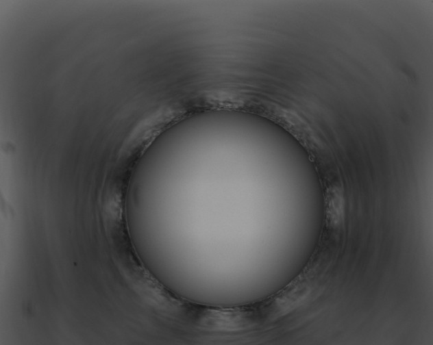 X0000091000713200708021600