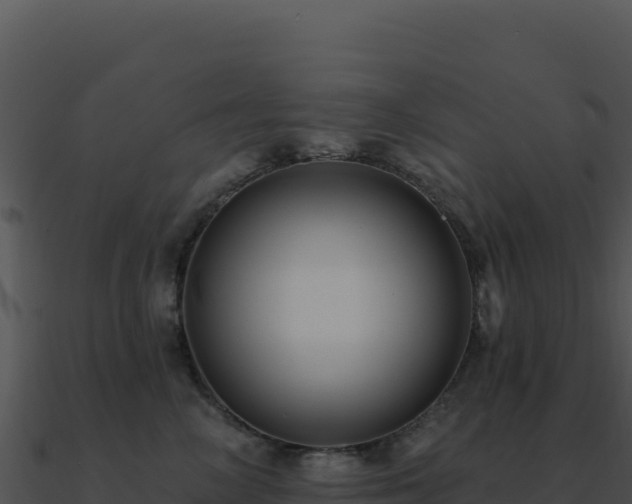 X0000091000714200708021600