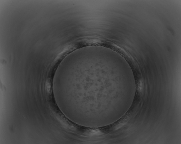 X0000091000715200708021600