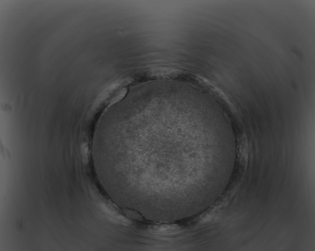 X0000091000716200708021600