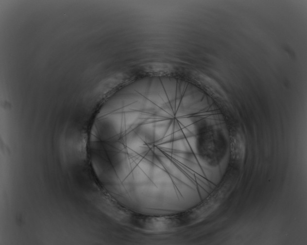 X0000091000717200708021600