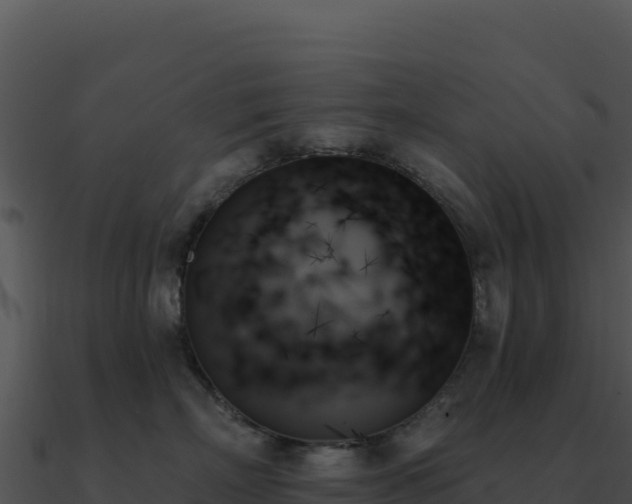X0000091000718200708021600