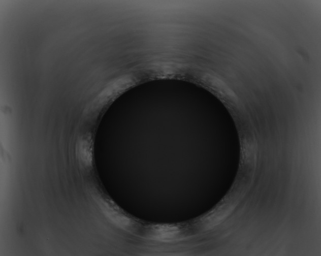 X0000091000719200708021600