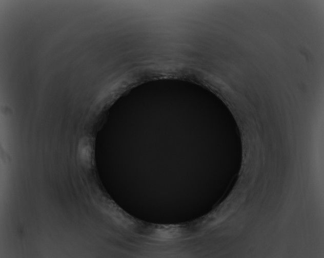 X0000091000720200708021600