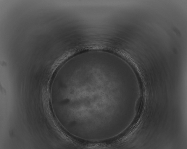 X0000091000721200708021600