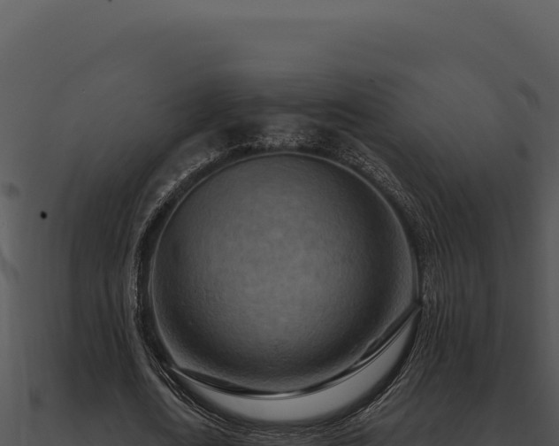 X0000091000722200708021600