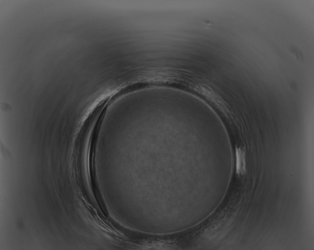 X0000091000723200708021600