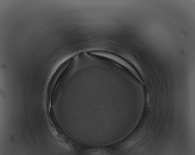 X0000091000724200708021600