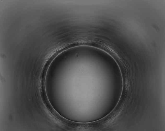 X0000091000725200708021600